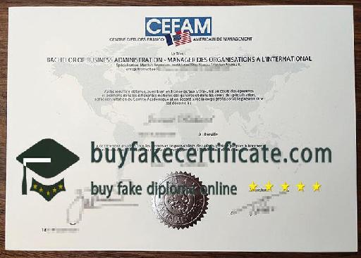 Who can provide me with a fake CEFAM diploma?
